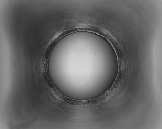 X0000116151208200911301534