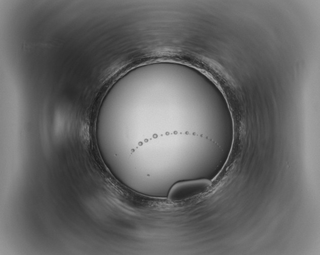 X0000116151209200911301534