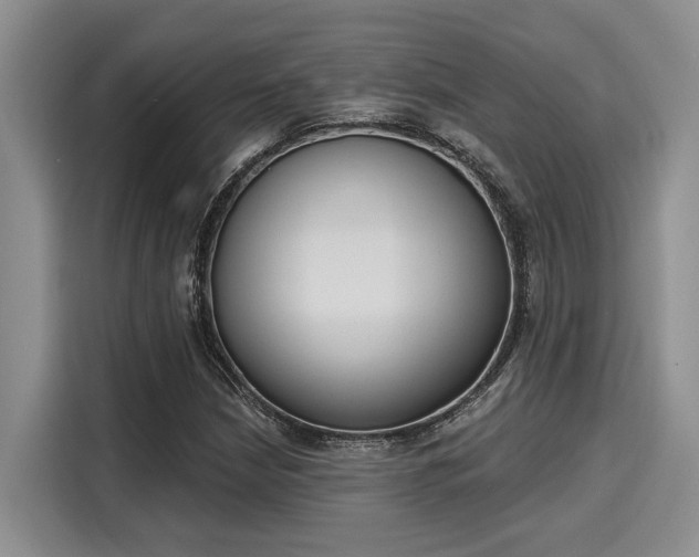 X0000116151210200911301534