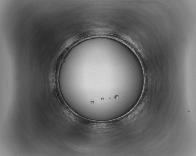 X0000116151211200911301534