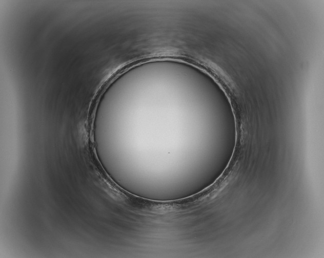 X0000116151212200911301534