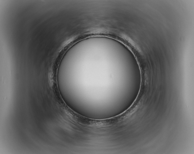 X0000116151213200911301534