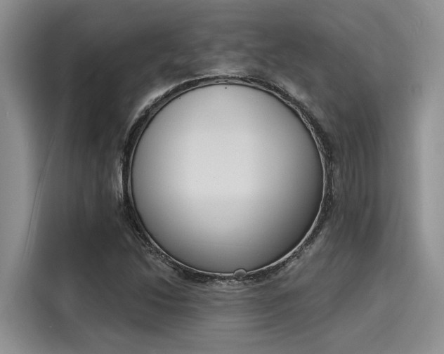 X0000116151214200911301534