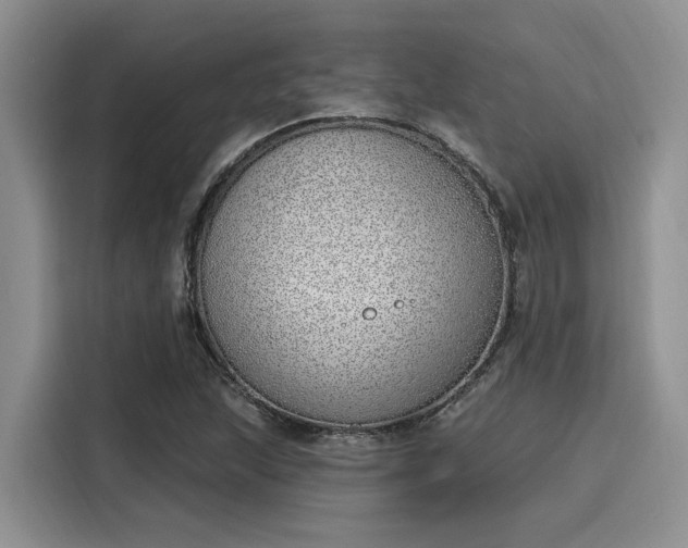 X0000116151215200911301534