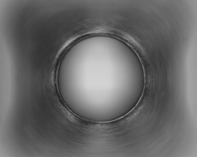 X0000116151216200911301534