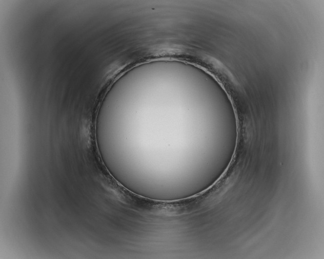 X0000116151217200911301534