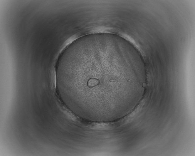 X0000116151219200911301534