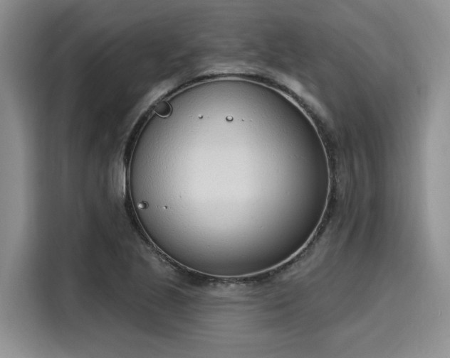 X0000116151221200911301534