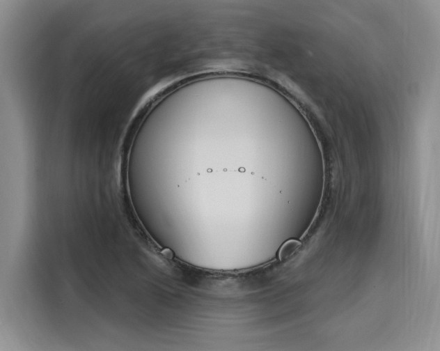 X0000116151222200911301534