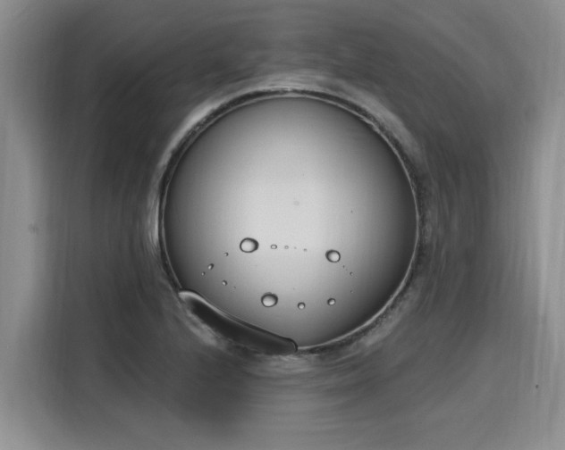 X0000116151224200911301534