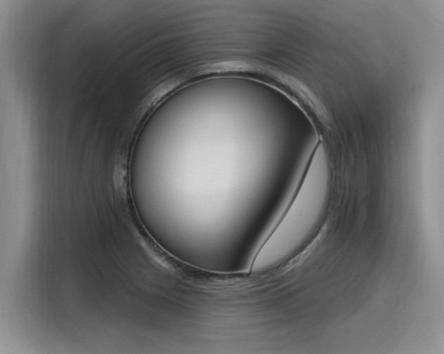 X0000116151225200911301534