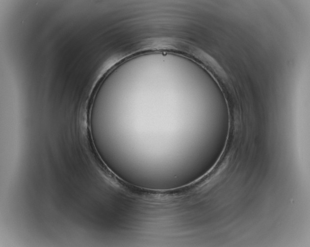 X0000116151226200911301534