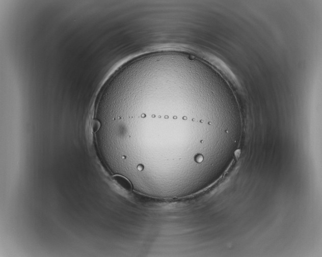 X0000116151228200911301534