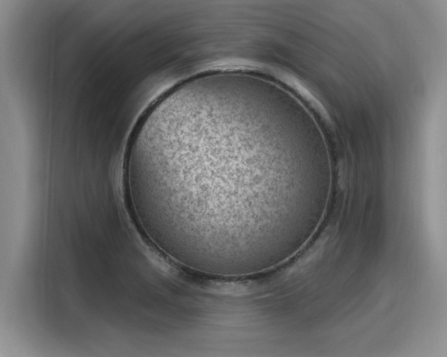 X0000116151229200911301534