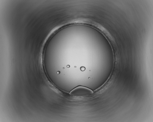 X0000116151232200911301534