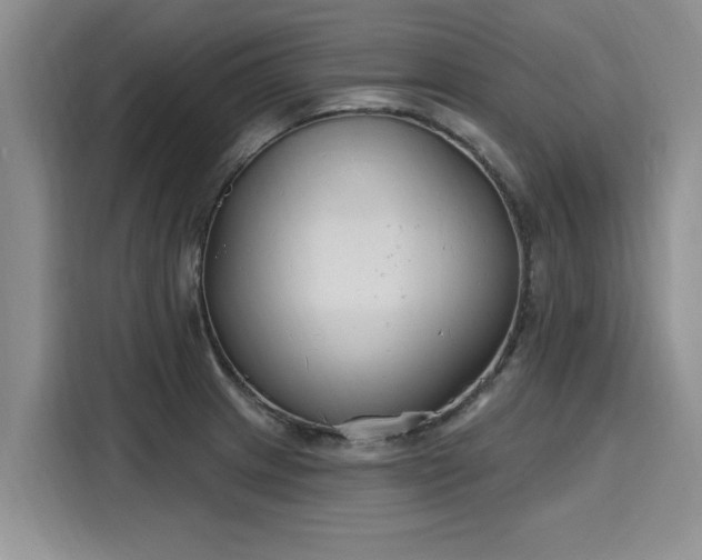 X0000116151233200911301534