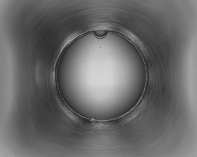 X0000116151234200911301534