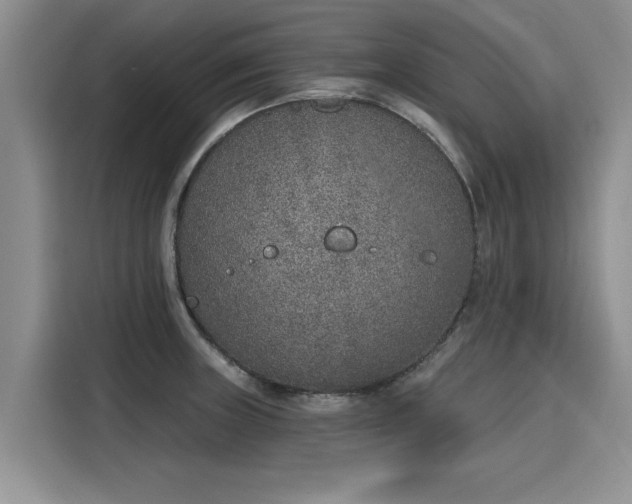 X0000116151235200911301534