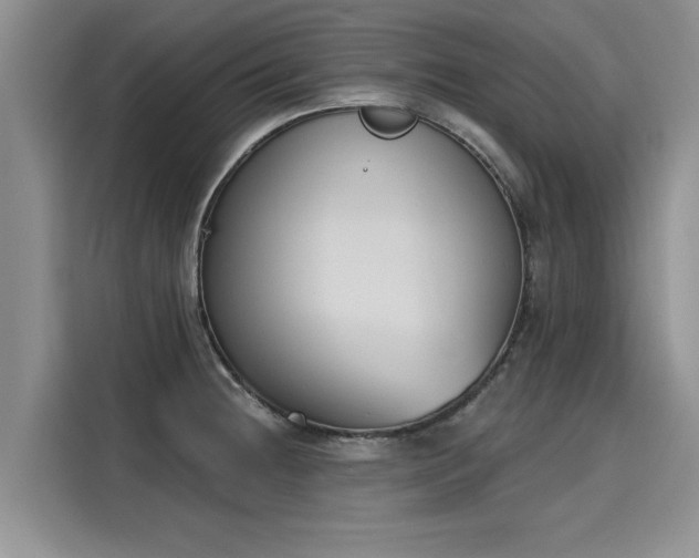 X0000116151236200911301534