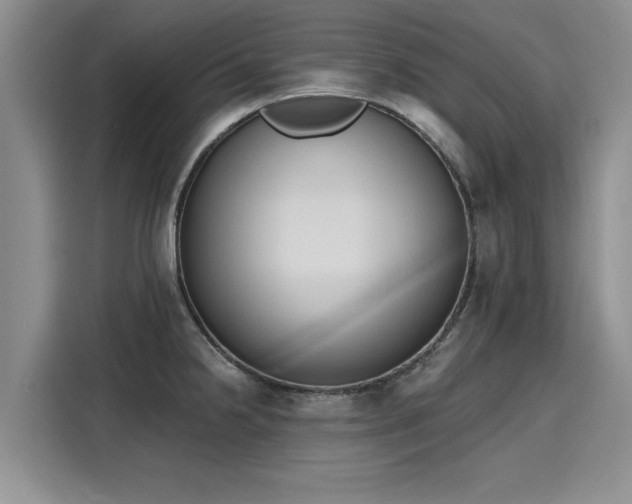 X0000116151238200911301534