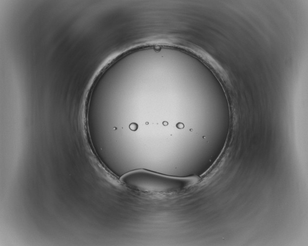 X0000116151240200911301534