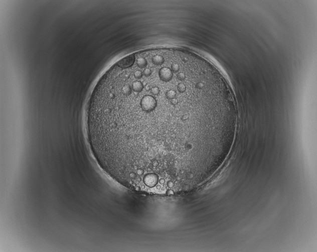 X0000116151243200911301534