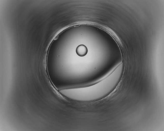 X0000116151244200911301534