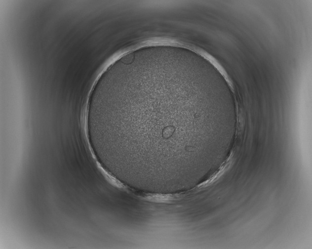 X0000116151245200911301534