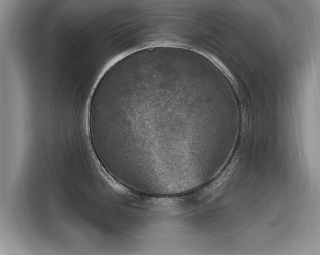 X0000116151246200911301534