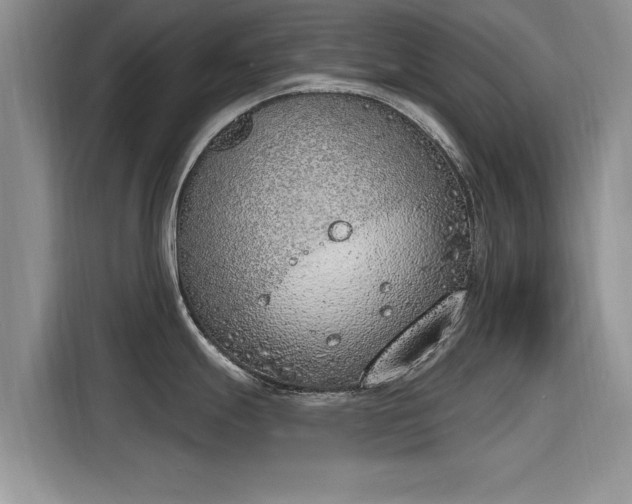 X0000116151247200911301534