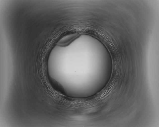 X0000116151249200911301534