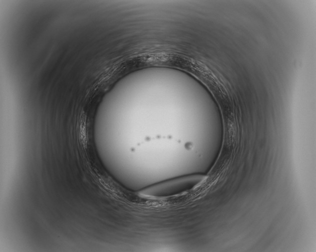 X0000116151250200911301534