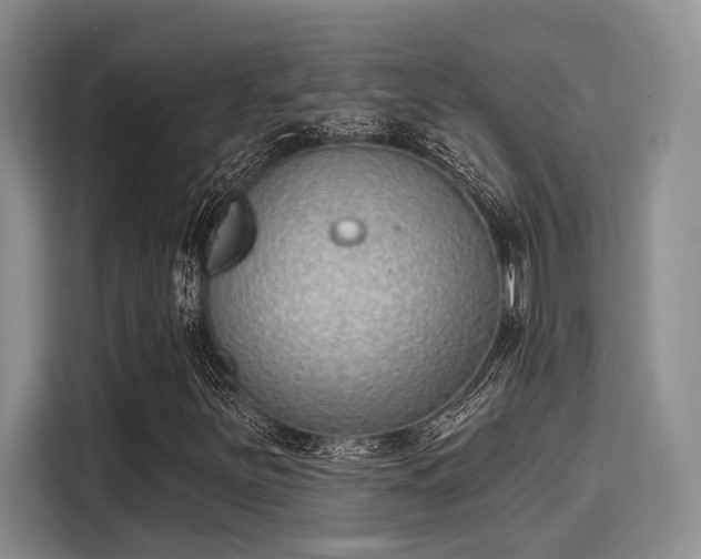 X0000116151251200911301534