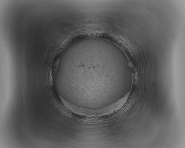 X0000116151252200911301534