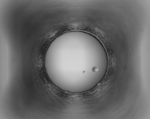 X0000116151253200911301534