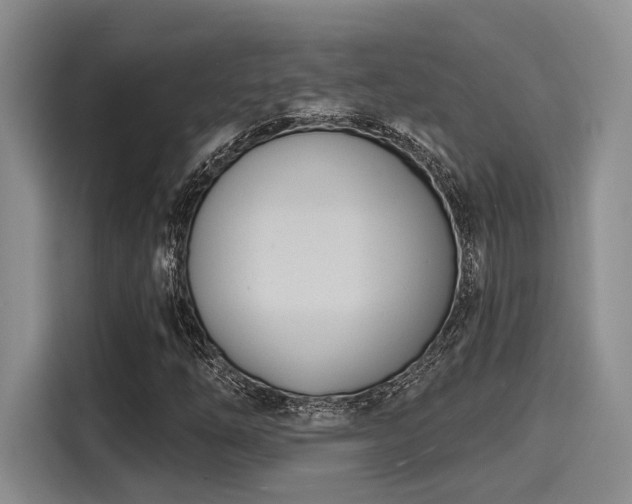 X0000116151254200911301534