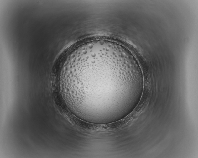 X0000116151255200911301534