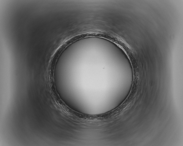 X0000116151256200911301534