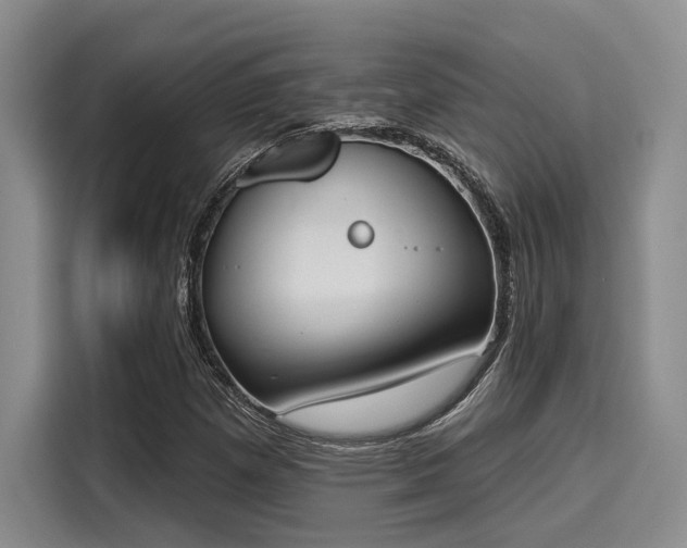 X0000116151257200911301534