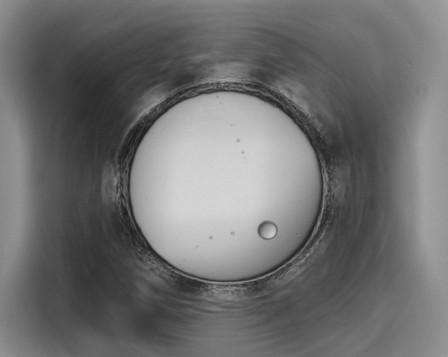 X0000116151258200911301534