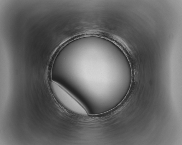 X0000116151260200911301533