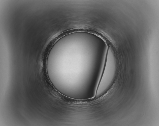 X0000116151261200911301533