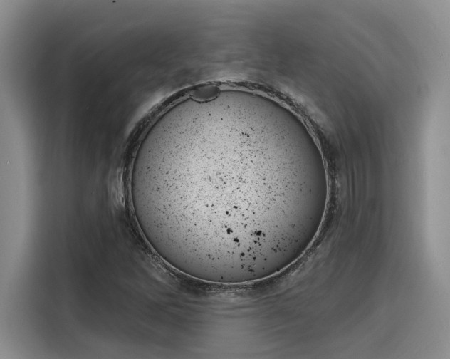 X0000116151262200911301533