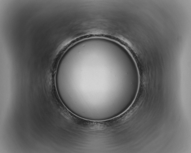 X0000116151263200911301533