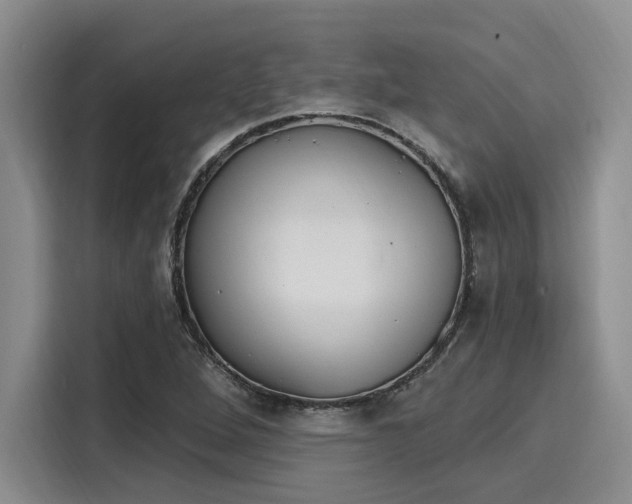 X0000116151264200911301533