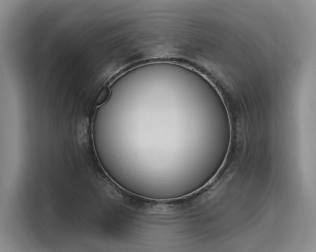 X0000116151265200911301533