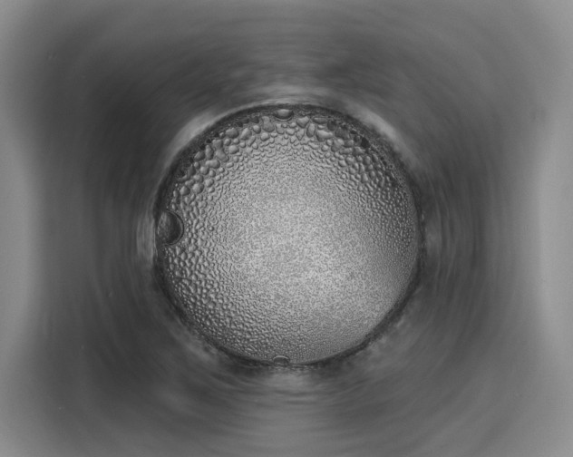 X0000116151267200911301533