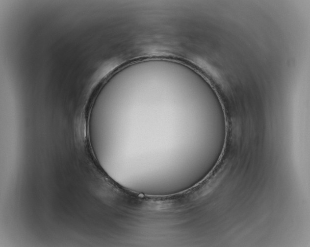 X0000116151269200911301533