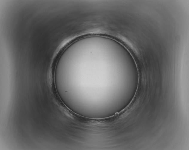 X0000116151270200911301533