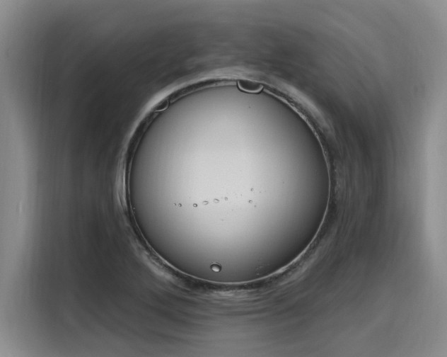 X0000116151272200911301533